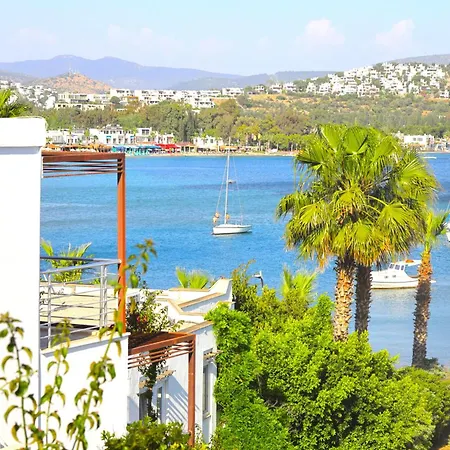 Hotel Amilla 4*