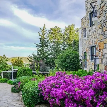 Hotel Amilla