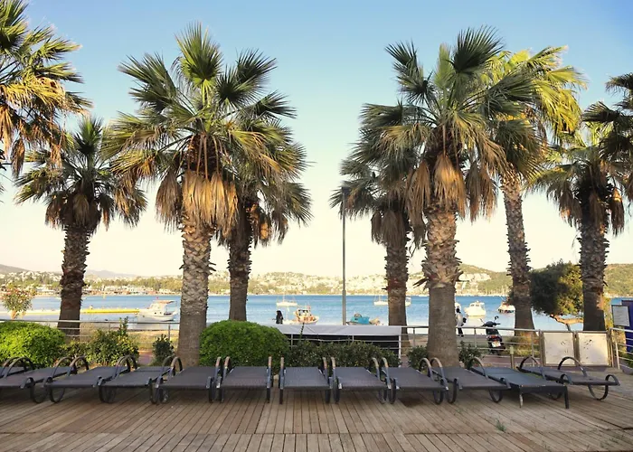 Amilla 4* Bodrum